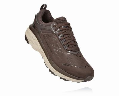 Hoka One One Challenger Low GORE-TEX - Sapatilhas Trail Homem - Cafes, FR07531